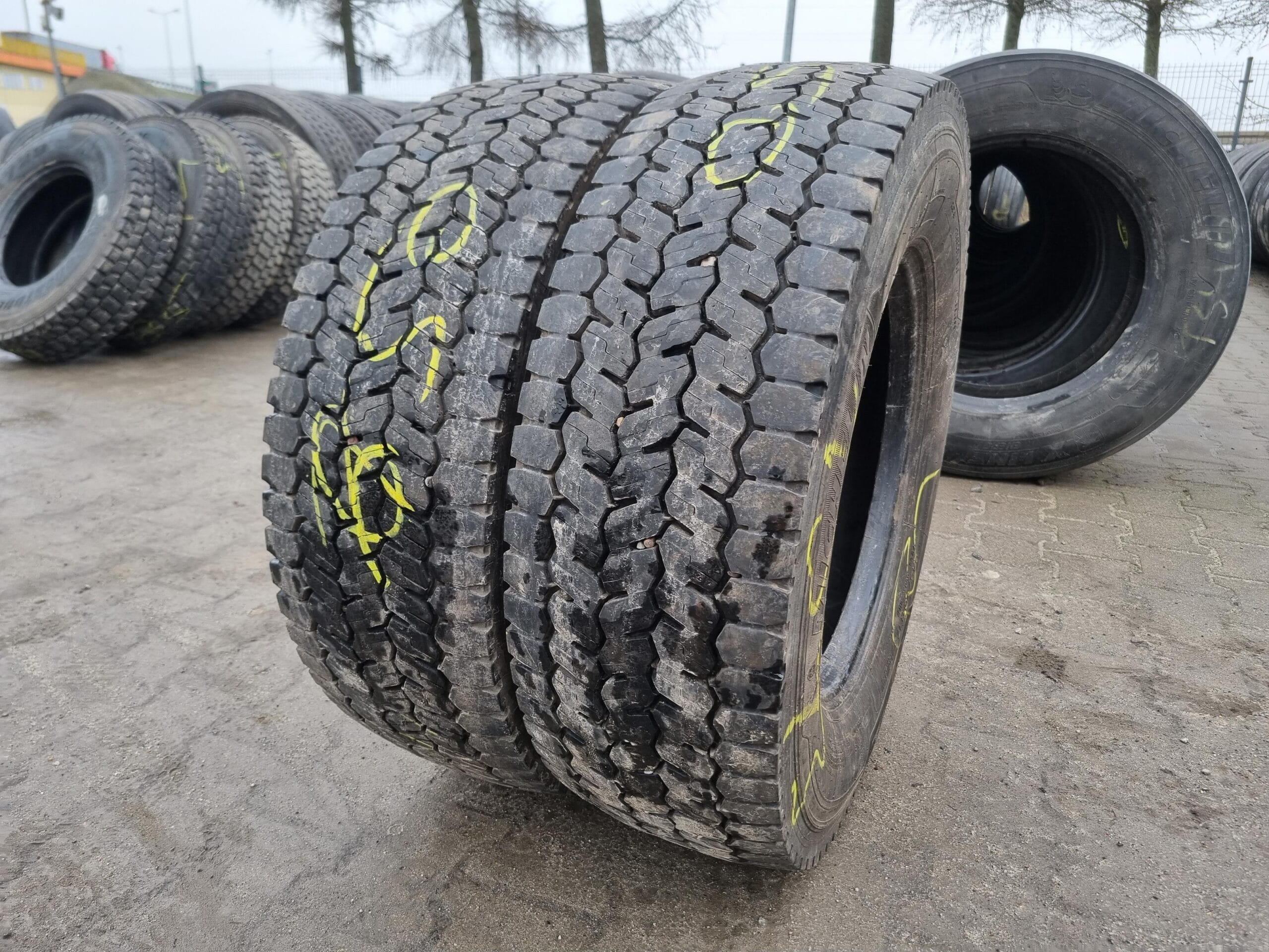 20240301_113123 (Copy)