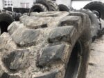 Opona rolnicza   AMAZONE RADIAL   BIEŻNIKA